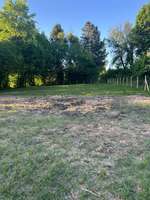 Hundeauslaufgebiet-Bad Königer
Hundespielwiese-Bild