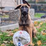 Ersteller:in phillip Profilbild