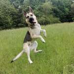 Ersteller:in •P•A•R•A Profilbild