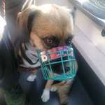 Ersteller:in Lilo Profilbild