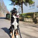 Ersteller:in Vanessa Profilbild