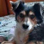 Ersteller:in Frank Profilbild