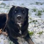 Ersteller:in Hilal Profilbild