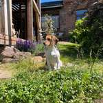 Ersteller:in Yvonne Profilbild