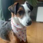 Ersteller:in Maria Profilbild