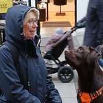 Ersteller:in Insa Profilbild