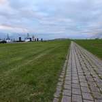 Hundeauslaufgebiet-Pingelturm Bremerhaven-Bild