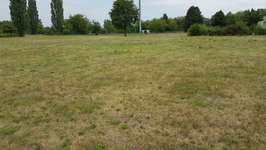 Hundeauslaufgebiet-An der Rettungswache-Bild