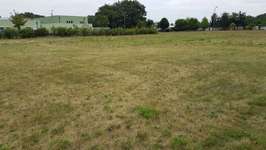 Hundeauslaufgebiet-An der Rettungswache-Bild