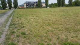 Hundeauslaufgebiet-An der Rettungswache-Bild