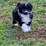 Ersteller:in Sa Profilbild