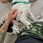 Ersteller:in Madlen Profilbild