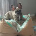 Ersteller:in TA Profilbild