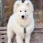 Ersteller:in Patrizia Profilbild