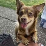 Ersteller:in Sunny Profilbild