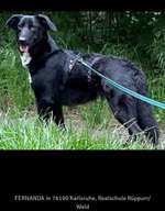 Suchmeldung-Fernanda-Bild