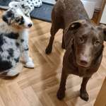 Ersteller:in Anne Profilbild