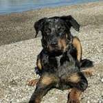 Ersteller:in Sonja Profilbild