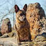 Ersteller:in Jessica Profilbild