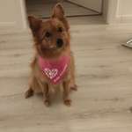 Ersteller:in Denise Profilbild