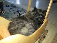 Ersteller:in Beate Profilbild