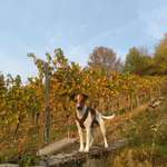 Ersteller:in Martin Profilbild