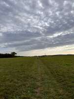 Hundeauslaufgebiet-Drachenwiese nahe Kiessee-Bild