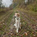 Ersteller:in Katharina Profilbild