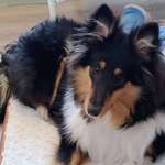 Ersteller:in Edel Profilbild