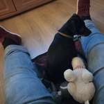 Ersteller:in Sonja Profilbild