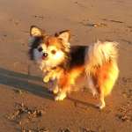 Ersteller:in Ariane Profilbild