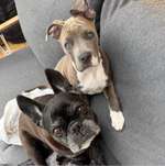 Ersteller:in Sarah Profilbild