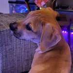 Ersteller:in Mucke Profilbild