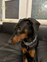 Schwellung am Auge-Beitrag-Bild