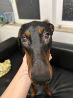 Schwellung am Auge-Beitrag-Bild