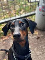 Schwellung am Auge-Beitrag-Bild