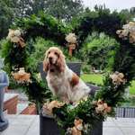 Ersteller:in Matthias Profilbild