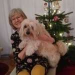 Ersteller:in Christine Profilbild