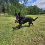 Ersteller:in Katja Profilbild