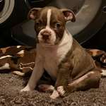 Ersteller:in Claire Profilbild