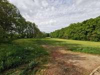 Hundeauslaufgebiet-Im Römertal-Bild