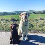 Ersteller:in Dorina Profilbild