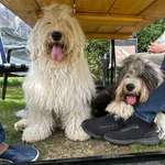 Ersteller:in Sylvia Profilbild