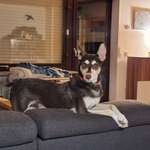 Ersteller:in Fynn Profilbild