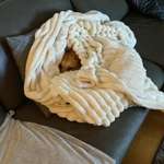 Ersteller:in Tanja Profilbild