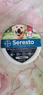 Ungezieferhalsbänder-Beitrag-Bild