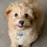 Ersteller:in Olga Profilbild