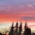 Ersteller:in Mandy Profilbild