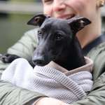 Ersteller:in Sabrina Profilbild