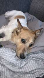 Suchmeldung-Bucki-Bild